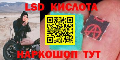 стаф Свободный
