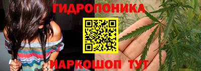 стаф Свободный
