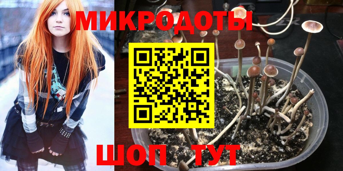 Галлюциногенные грибы мухоморы Боровичи