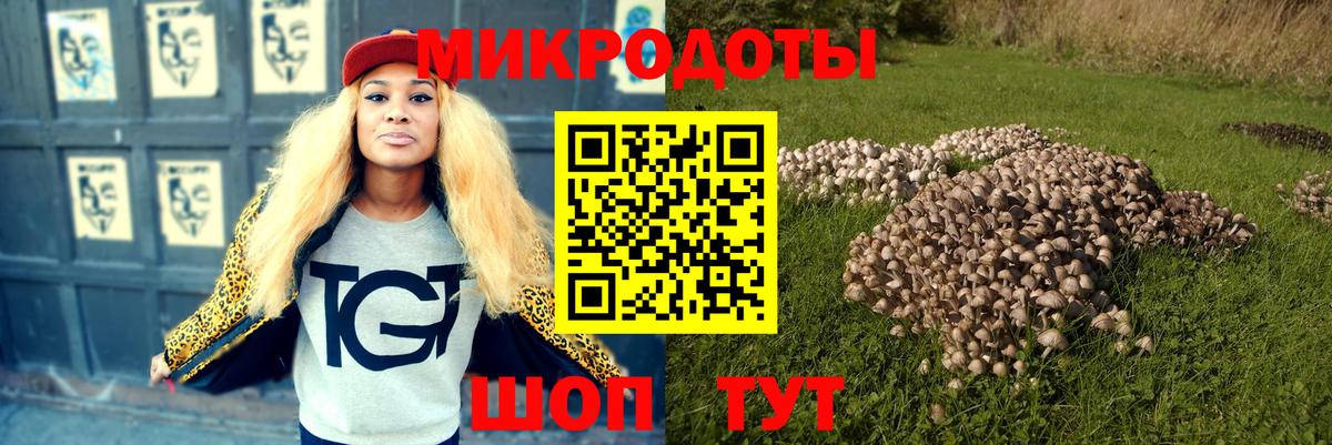 Боровичи  Галлюциногенные грибы GOLDEN TEACHER  Вход с VPN 