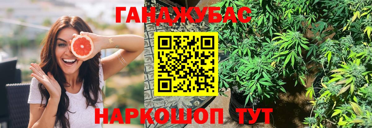 Канабис сатива  Бошки марихуана Ganja  Шишки марихуана MAZAR  Боровичи  Вход с VPN 